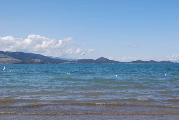 Montanas-Flathead-Lake0413