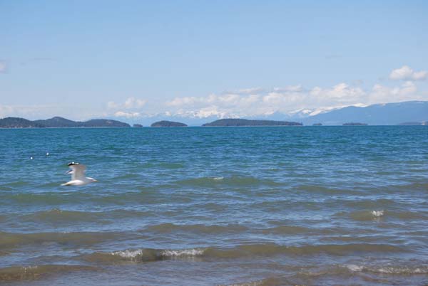 Montanas-Flathead-Lake0421