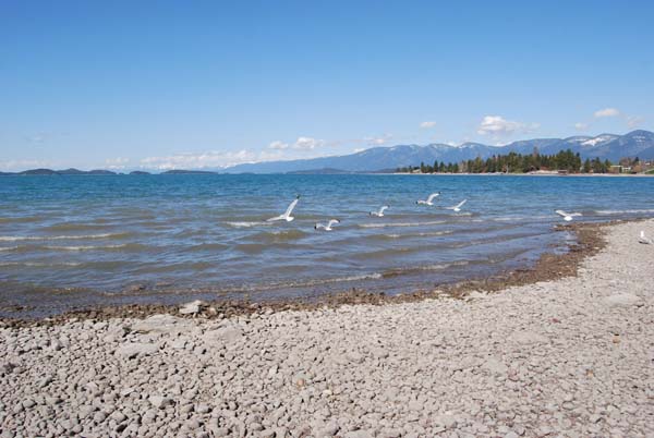 Montanas-Flathead-Lake0427