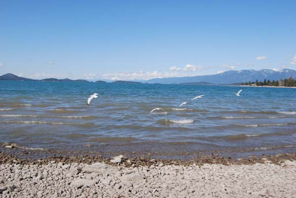Montanas-Flathead-Lake0429