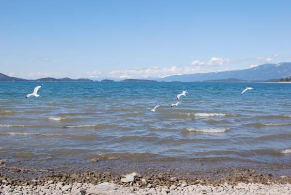 Montanas-Flathead-Lake0430