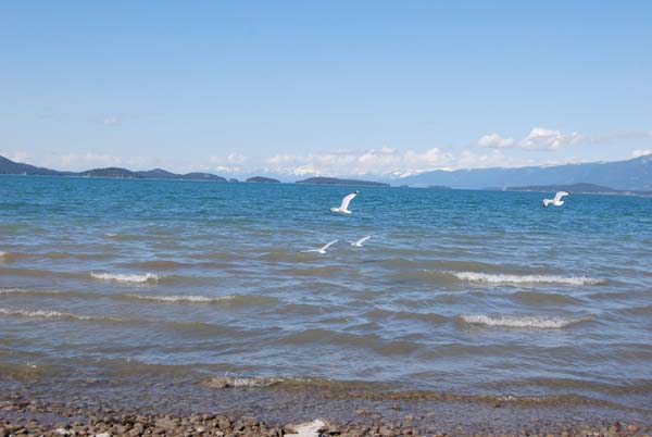 Montanas-Flathead-Lake0431