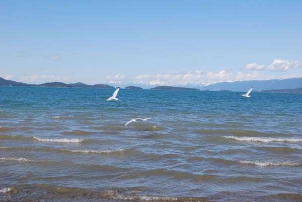 Montanas-Flathead-Lake0432