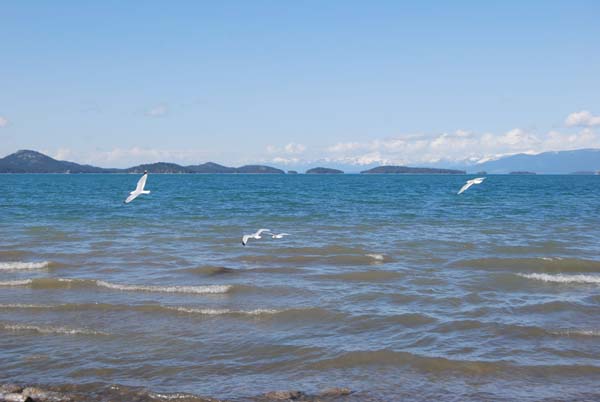 Montanas-Flathead-Lake0433