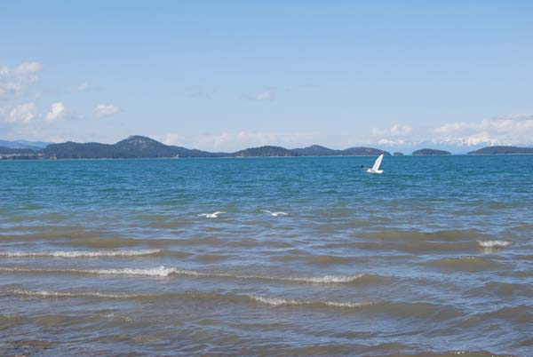 Montanas-Flathead-Lake0435