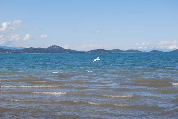 Montanas-Flathead-Lake0436