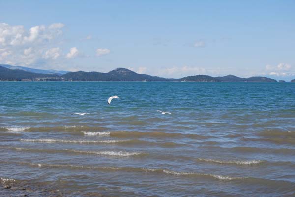 Montanas-Flathead-Lake0437