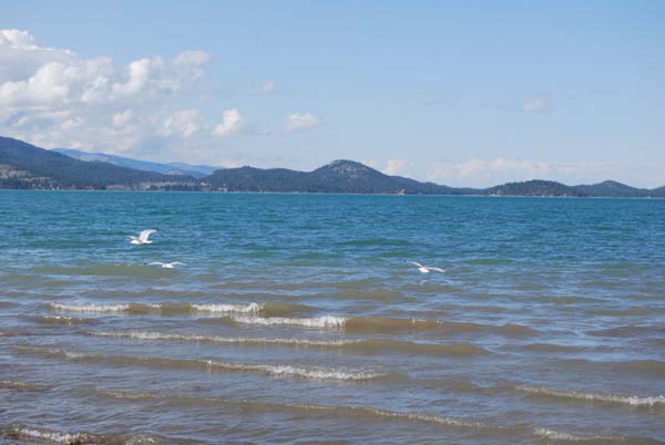 Montanas-Flathead-Lake0438