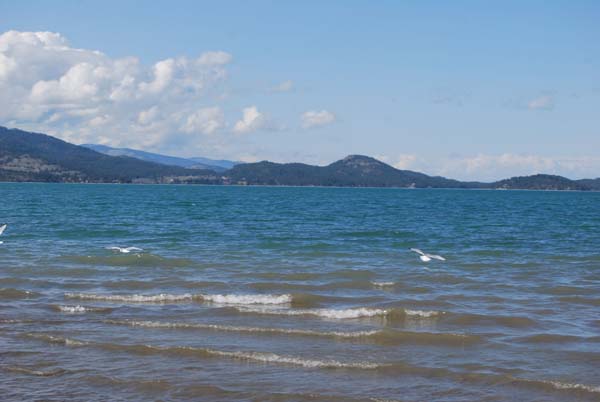 Montanas-Flathead-Lake0439