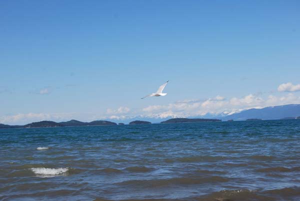 Montanas-Flathead-Lake0443