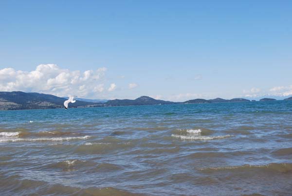 Montanas-Flathead-Lake0446