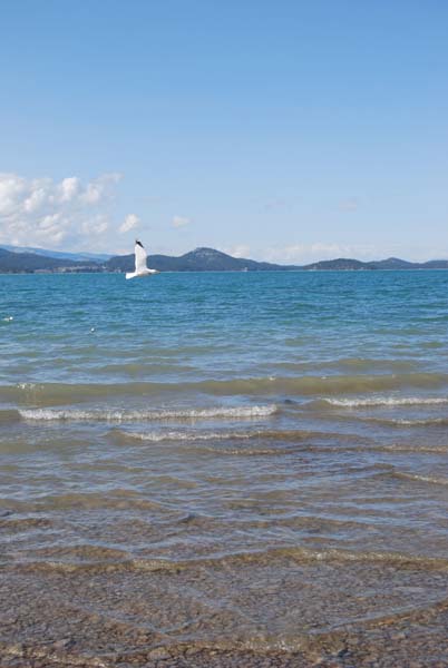 Montanas-Flathead-Lake0452