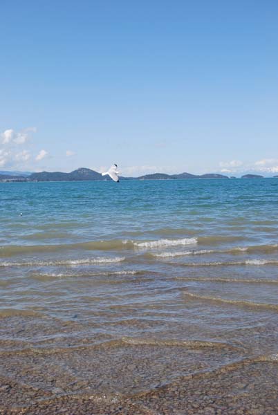 Montanas-Flathead-Lake0453