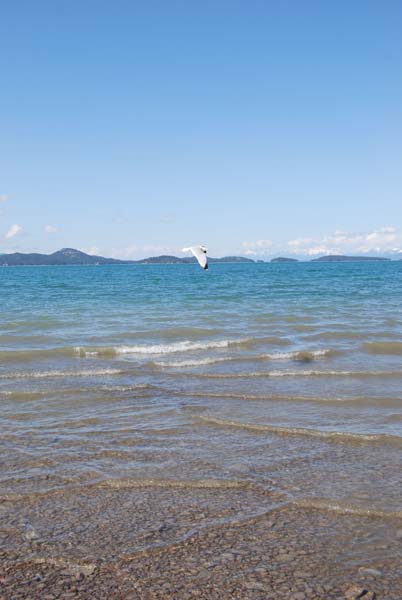 Montanas-Flathead-Lake0454