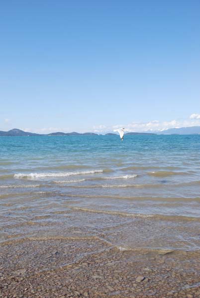 Montanas-Flathead-Lake0455