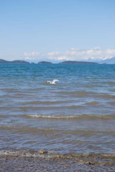 Montanas-Flathead-Lake0459