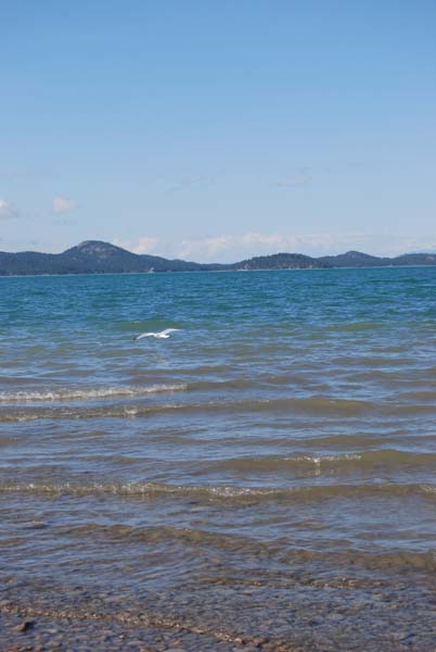 Montanas-Flathead-Lake0461