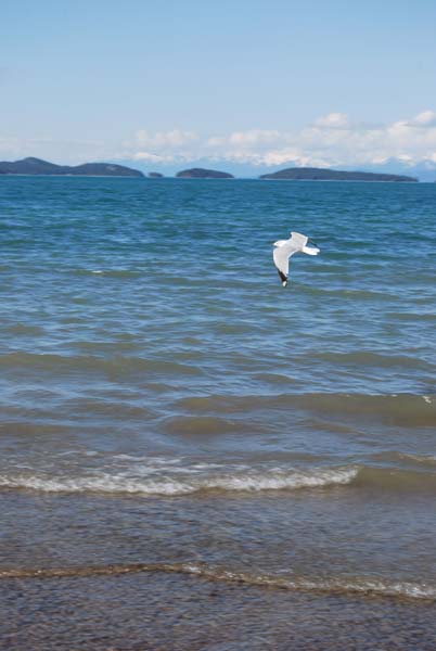 Montanas-Flathead-Lake0476