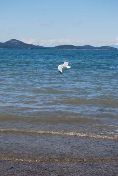 Montanas-Flathead-Lake0477