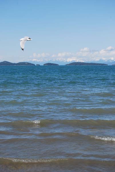 Montanas-Flathead-Lake0479