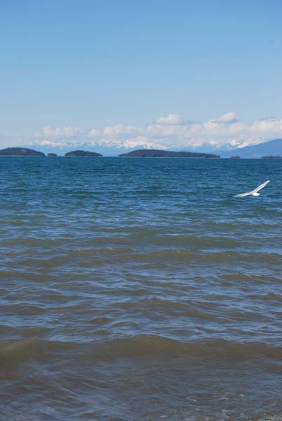 Montanas-Flathead-Lake0485