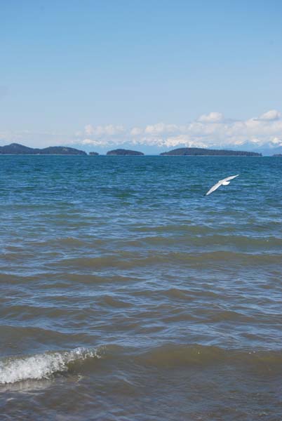 Montanas-Flathead-Lake0486