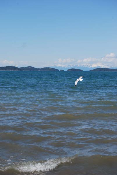 Montanas-Flathead-Lake0487