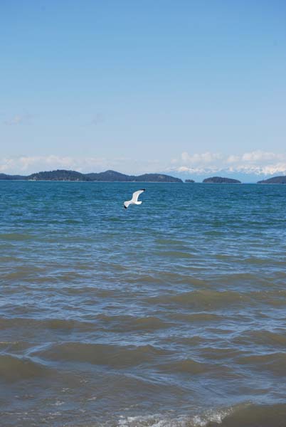 Montanas-Flathead-Lake0488