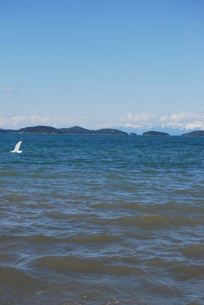 Montanas-Flathead-Lake0489