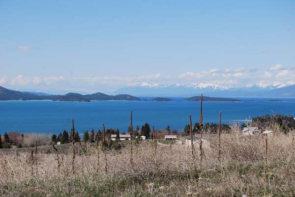 Montanas-Flathead-Lake0493