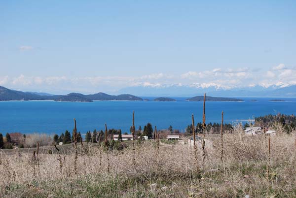 Montanas-Flathead-Lake0494