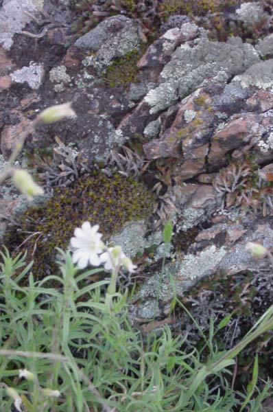 Montanas-Flathead-Lake0519