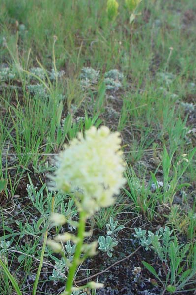 Montanas-Flathead-Lake0522