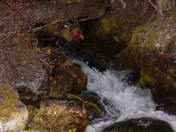 Montanas-Flathead-Lake0556