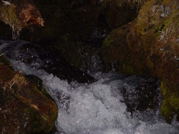 Montanas-Flathead-Lake0557