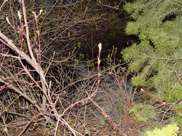 Montanas-Flathead-Lake0558