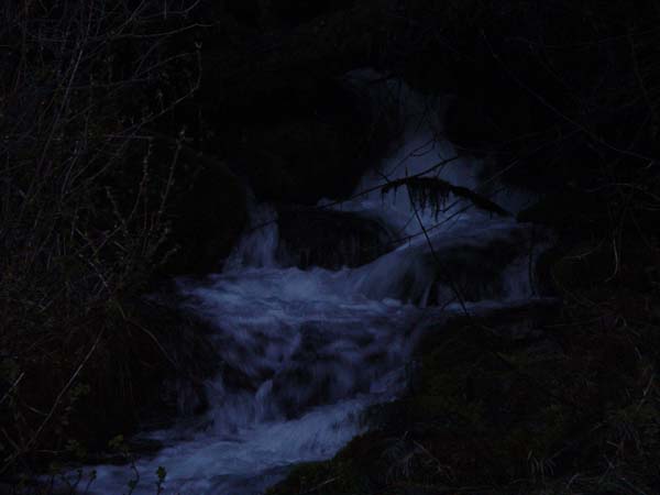 Montanas-Flathead-Lake0559