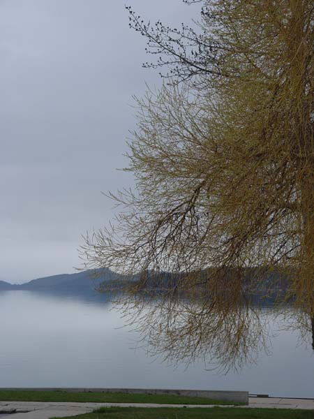 Montanas-Flathead-Lake0569