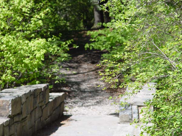 Montanas-Flathead-Lake0580