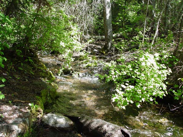 Montanas-Flathead-Lake0582