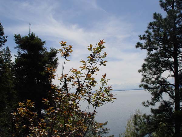 Montanas-Flathead-Lake0587