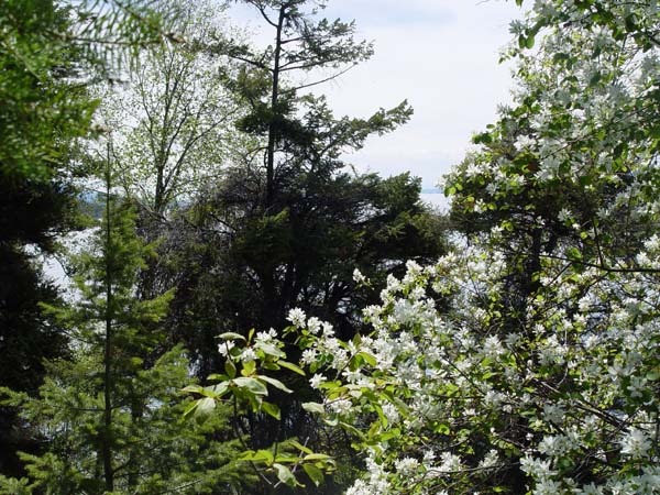 Montanas-Flathead-Lake0588