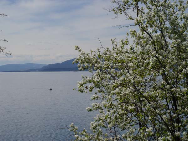 Montanas-Flathead-Lake0589