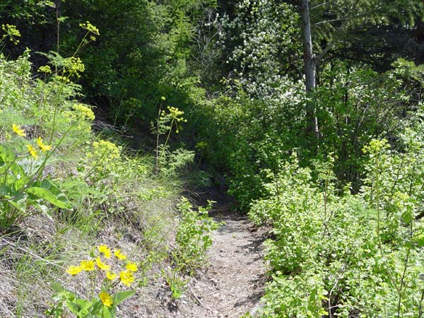 Montanas-Flathead-Lake0590