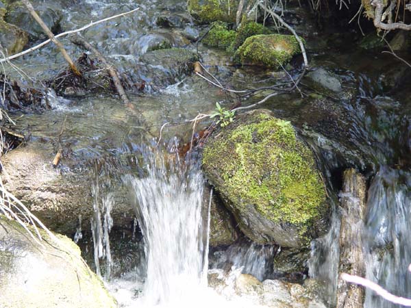 Montanas-Flathead-Lake0592