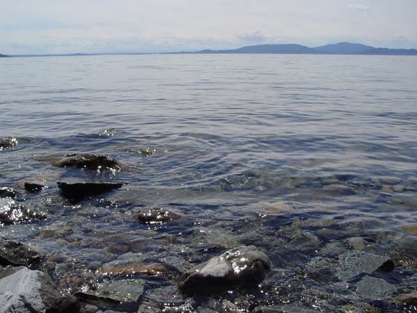 Montanas-Flathead-Lake0595
