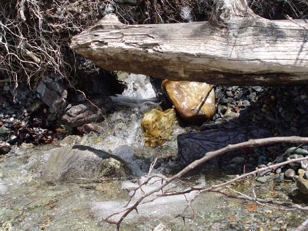 Montanas-Flathead-Lake0597