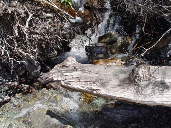 Montanas-Flathead-Lake0598