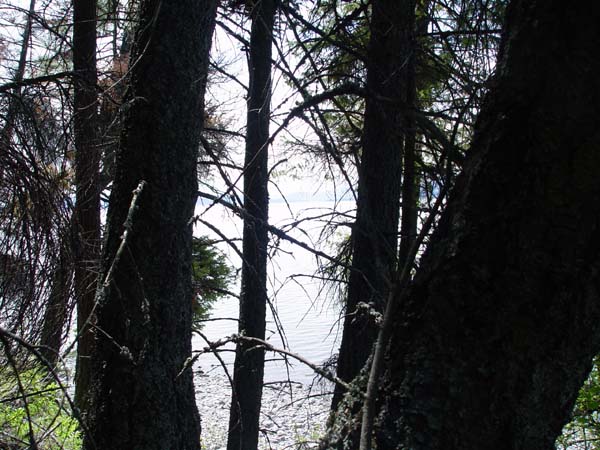 Montanas-Flathead-Lake0599