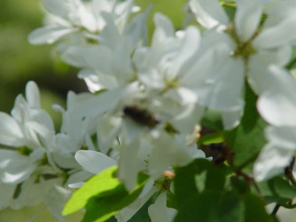 Montanas-Flathead-Lake0601